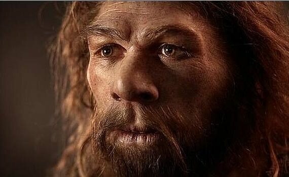 Homo antecesor