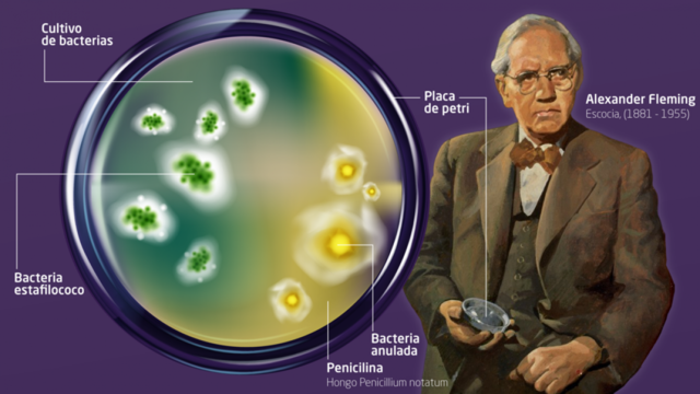 Biotecnología Moderna- Alexander Fleming