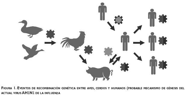 Pandemia de gripe A (H1N1)