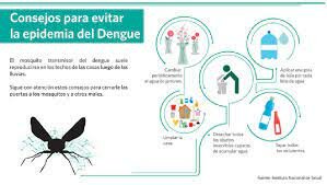 Epidemia de dengue de 2019