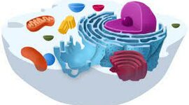 Timeline: HISTORIA DE LA BIOLOGIA Y TEORIA CELULAR