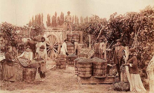 La Revolución y la Reforma Agraria