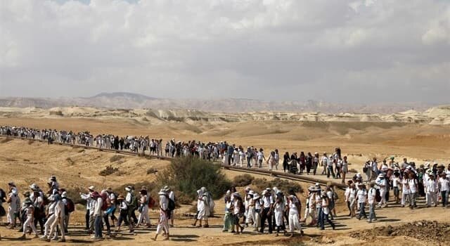 40 años en el desierto