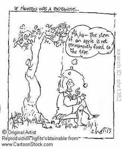 Newtons Laws of Gravity