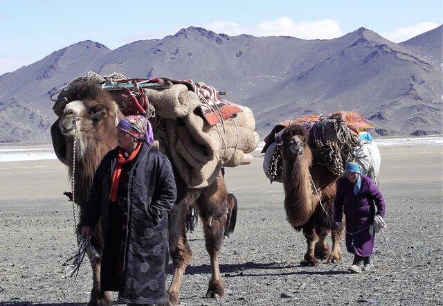Kazakhs fleeing to Mongolia