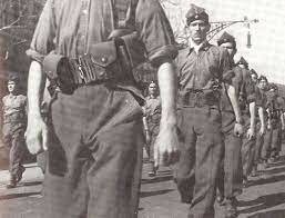 Decret de milícies armades