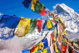 New Zealand party to Himalayas