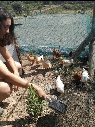 Learning about the sustainable lifestyle