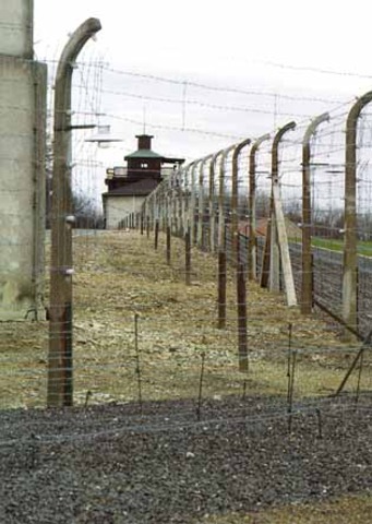 Buchenwald concentration camps