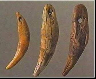 Creación de la Aguja