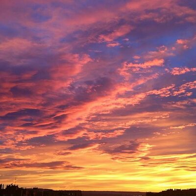 Timeline: LINEA DEL TIEMPO