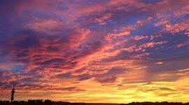 Timeline: LINEA DEL TIEMPO