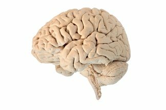 Tecnología contra el envejecimiento del cerebro