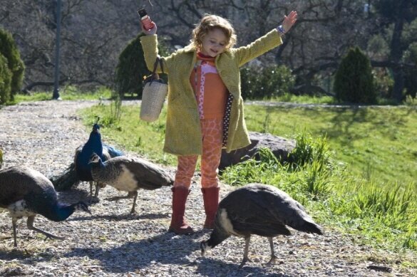 The Mees were shown the Rosemoor property.