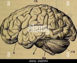 Evento revolucionario