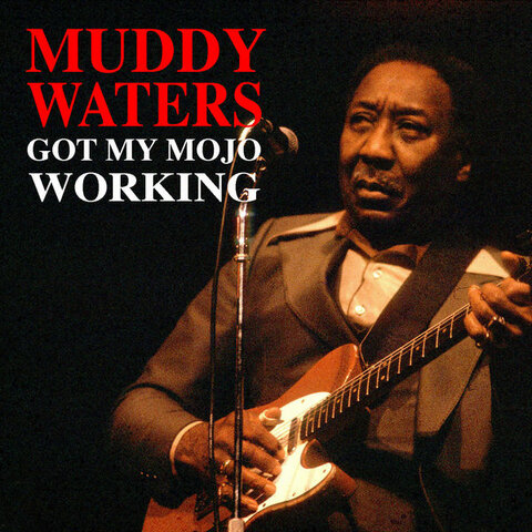 Muddy Waters