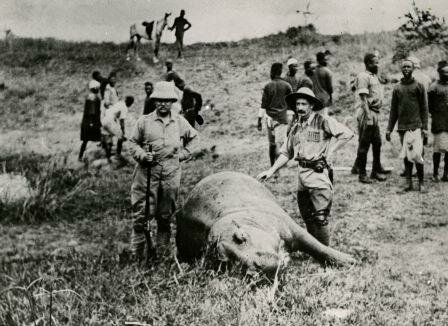 Leaves presidency, visits Africa (Purpose for going)