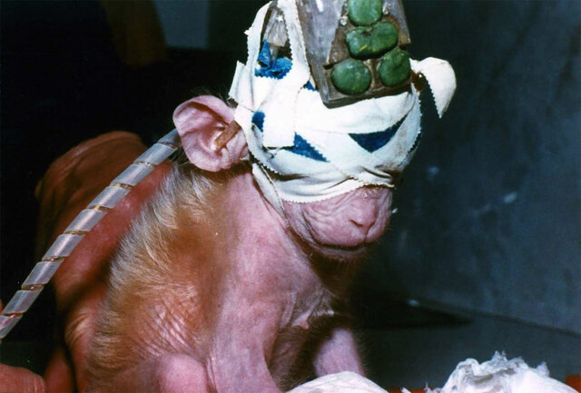 Cargos contra David Ferrie