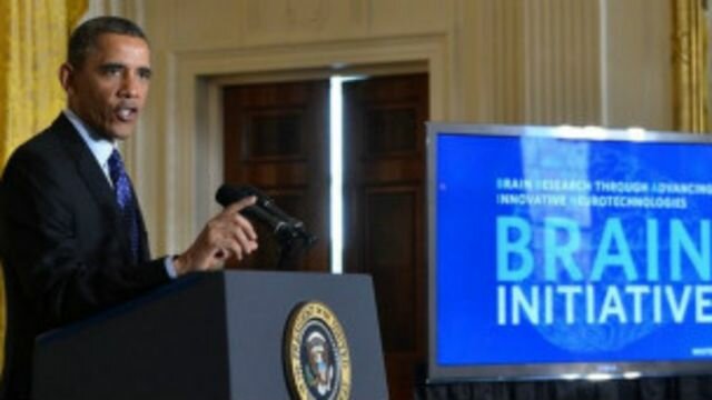 Proyecto científico: BRAIN