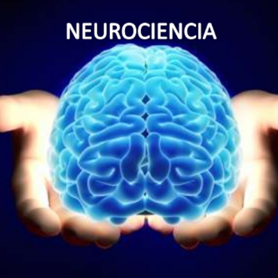 Timeline: La historia de la neurociencia