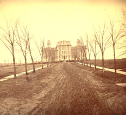 The Hall of Languages
