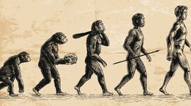 Timeline: Épocas de Historia