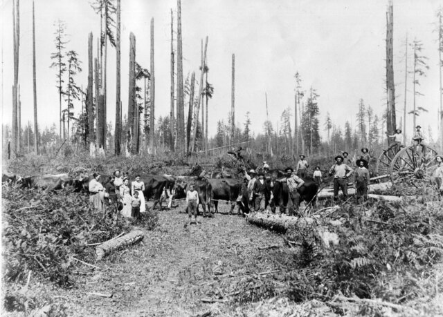 European Settlers of Puget Sound