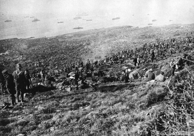 Tragedien på Gallipoli