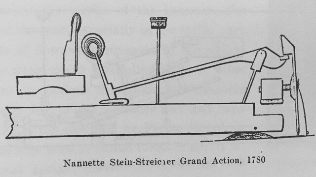 Nannette Stein-Streicner Grand Action