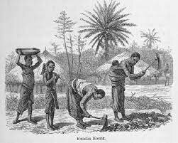 La explotación económica y sus consecuencias.