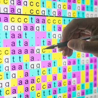 Timeline: Descobriments biotecnològics 2000-2015