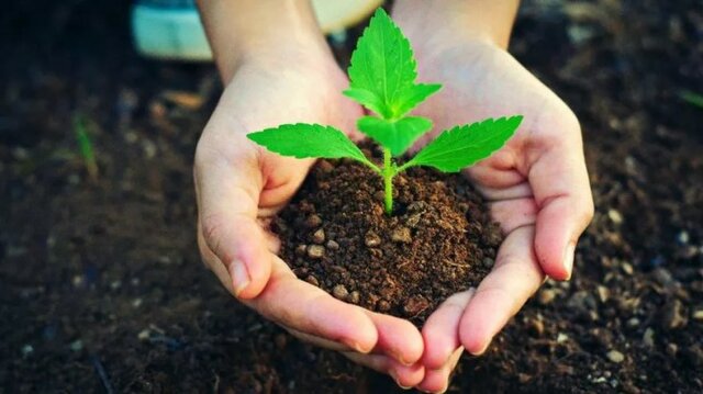 Afiş Hazırlanması