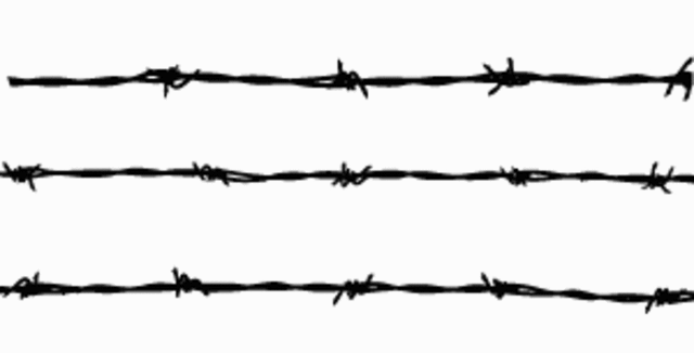 Begin to fence , buffalo die