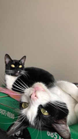 Got my First Kit Kat’s !!