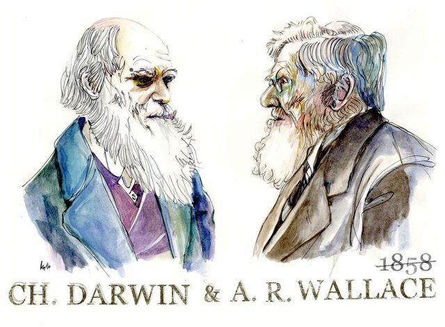 Darwin y Wallace proponen que la selección natural era el mecanismo básico de creación de nuevas especies