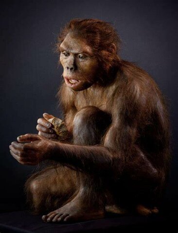 Homo Habilis 1,9-1,6 millones.
