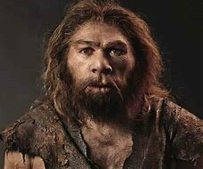 Homo sapiens - 300mil años