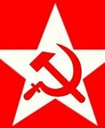 Partido social revolucionario