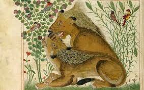 Al-Jahiz, en su libro de los animales, habla sobre la supervivencia de las especies.