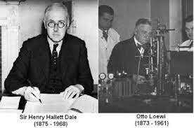 Henry Hallett y Otto Loewi