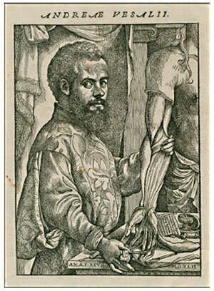 Andreas Vesalius