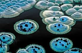 Producción de medicamento