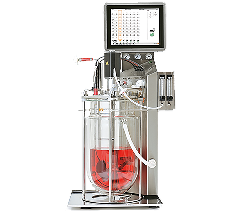 Biorreactor para el cultivo de células madre humanas