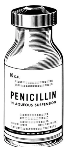 Producción de la Penicilina