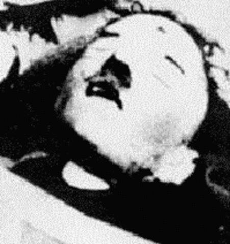 invation of berlin and hitler suicide