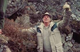 Thanksgiving service