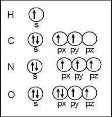 Se establece la regla de Hund