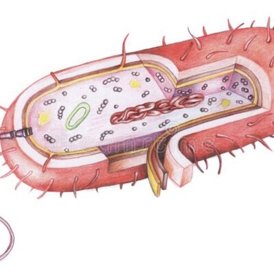 Timeline: Cultura Científica