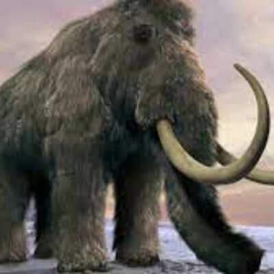 Timeline: Epoques de la història