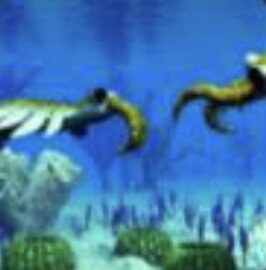 Explosión Cámbrica